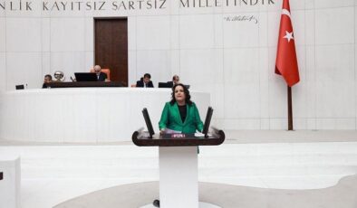 MİLLETVEKİLİ ÖK: 2023 YILINDA DA YÜZDE 5 BÜYÜYECEĞİZ