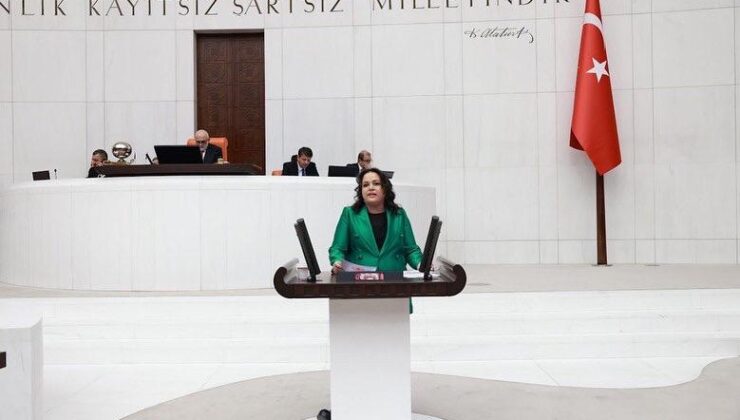 MİLLETVEKİLİ ÖK: 2023 YILINDA DA YÜZDE 5 BÜYÜYECEĞİZ