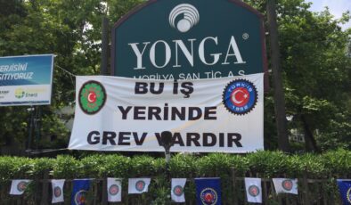 YONGA’DA GREV BİR AYI YARILADI