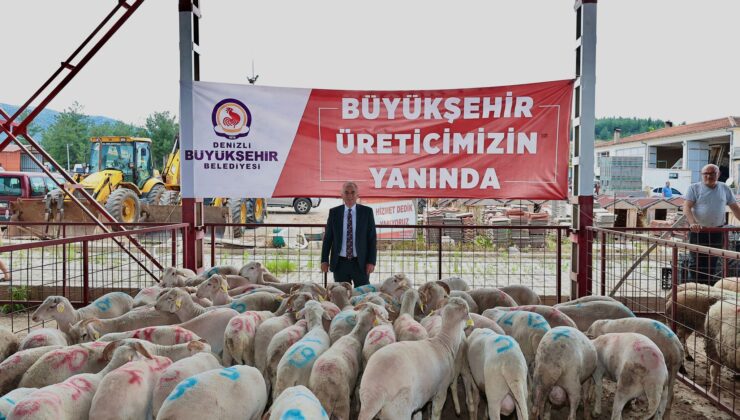 BÜYÜKŞEHİRİN DAMIZLIK KOÇ VE TEKE DAĞITIMI BAŞLADI