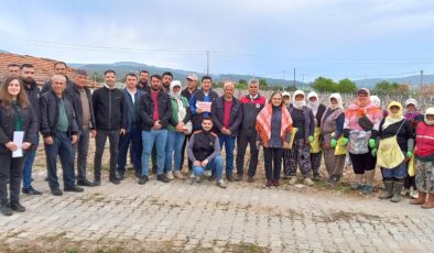 SALKIM GÜVESİNE KARŞI BİYOTEKNİK MÜCADELE BU YILDA DEVAM EDİYOR