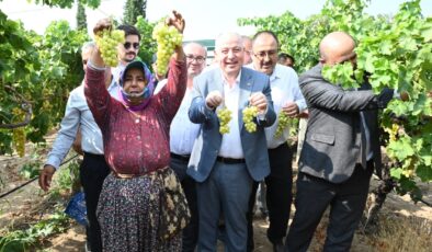 DENİZLİ’DE ÜZÜM HASADI BAŞLADI