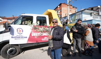 Denizli Büyükşehir’den zeytin fidanı seferberliği