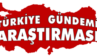 Araştırma Gündemi